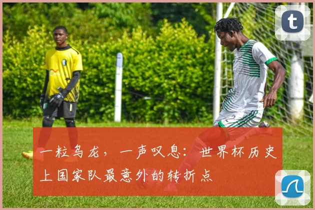 一粒乌龙，一声叹息：世界杯历史上国家队最意外的转折点