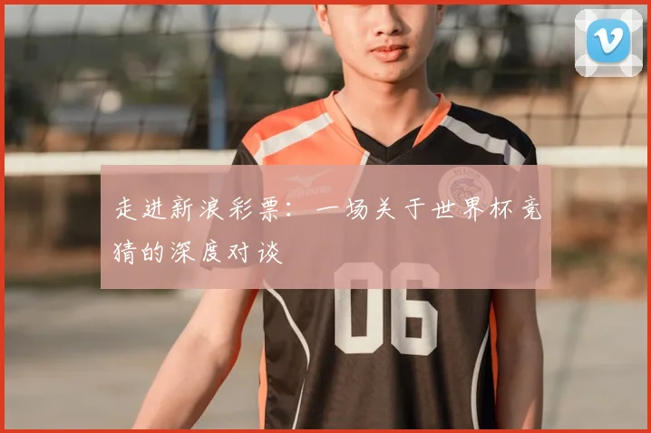 走进新浪彩票：一场关于世界杯竞猜的深度对谈
