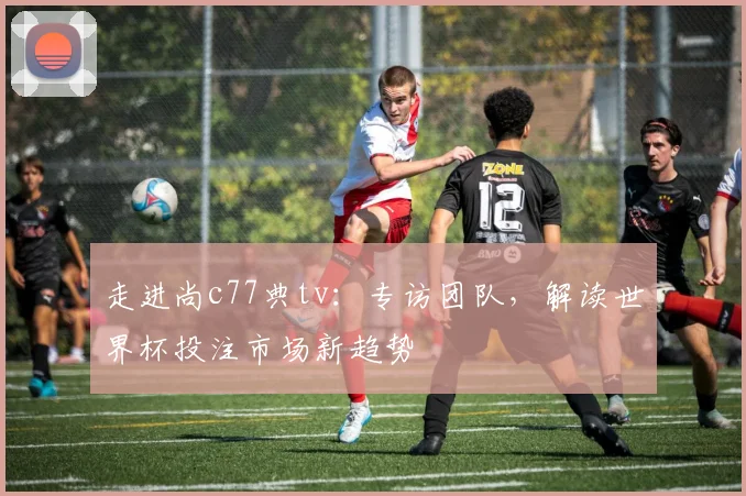 走进尚c77典tv：专访团队，解读世界杯投注市场新趋势