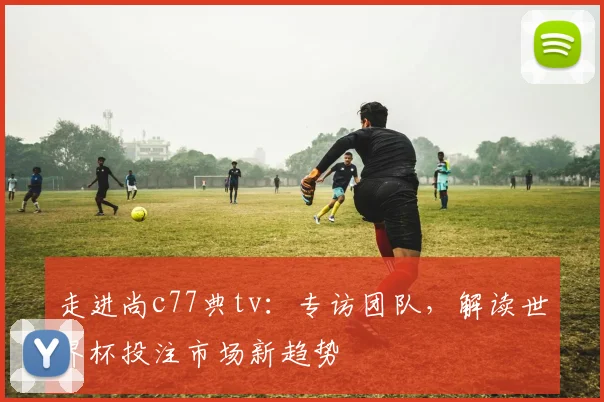 走进尚c77典tv：专访团队，解读世界杯投注市场新趋势