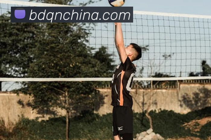 米兰官网入口平台生态图